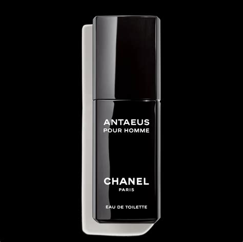 prix parfum antaeus chanel 100ml|cheapest chanel antaeus equivalent.